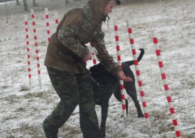 кркоо мир собаки 12