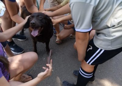 Занимательная кинология.