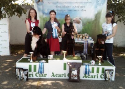 WhatsApp Image 2019-06-07 at 17.45.16