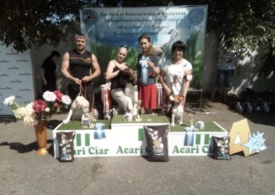 WhatsApp Image 2019-06-07 at 17.49.39