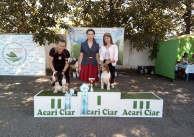 WhatsApp Image 2019-06-07 at 17.58.49