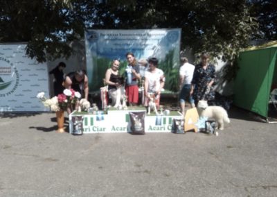 WhatsApp Image 2019-06-07 at 17.58.51(1)