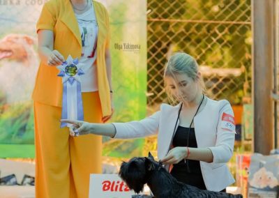 WhatsApp Image 2019-08-12 at 21.27.51