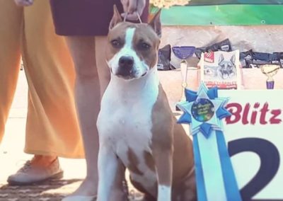 WhatsApp Image 2019-08-12 at 21.27.52