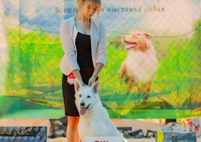 WhatsApp Image 2019-08-12 at 21.27.52(1)